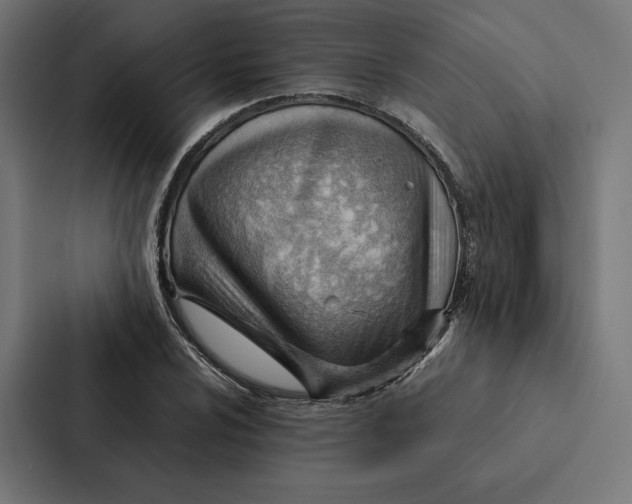 X0000087311024200705112112