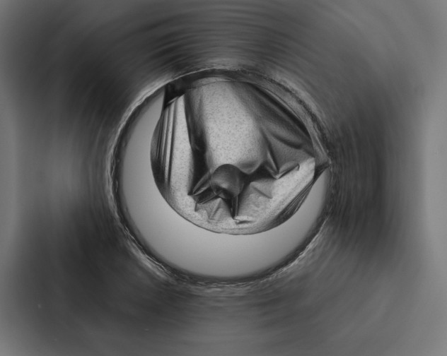 X0000087311026200705112113