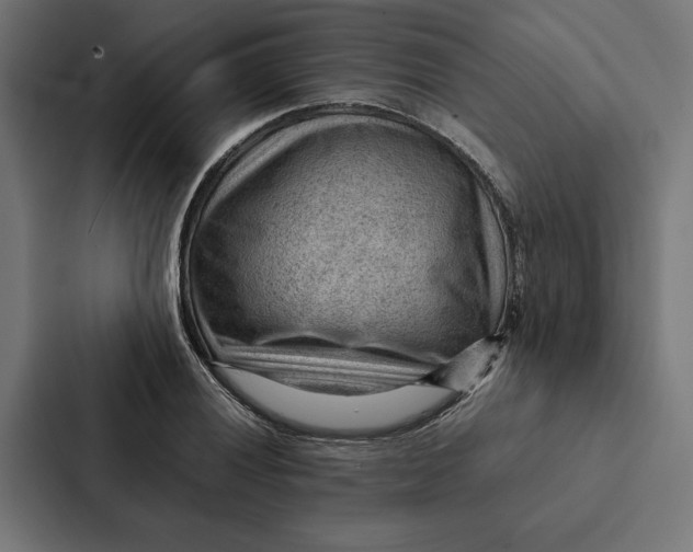 X0000087311028200705112113