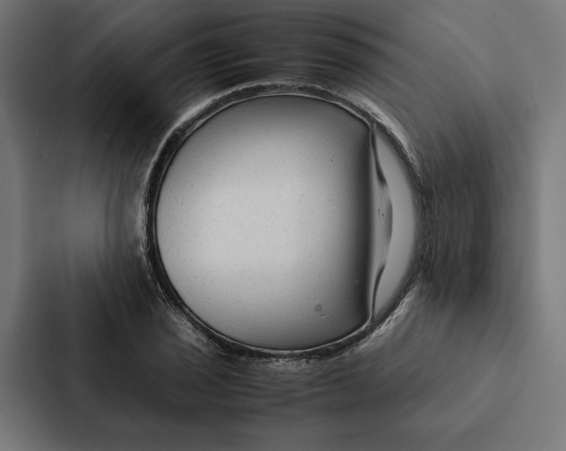 X0000087311029200705112113