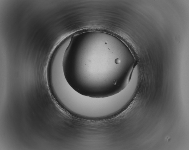 X0000087311030200705112113