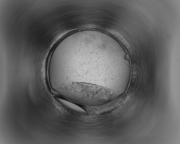 X0000087311031200705112113