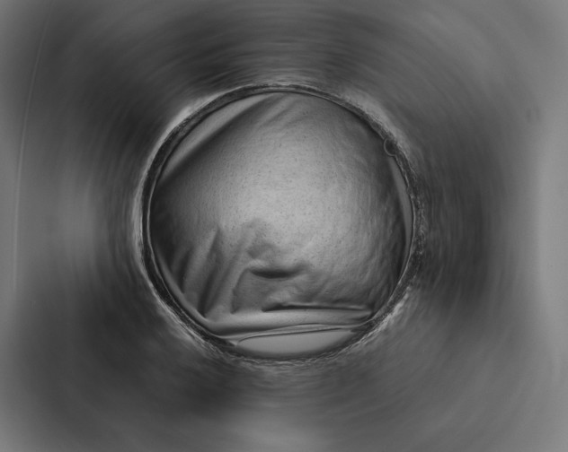 X0000087311032200705112113