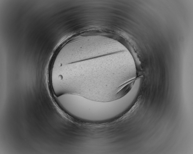 X0000087311034200705112113