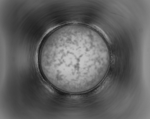 X0000087311035200705112113