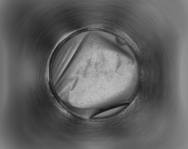 X0000087311036200705112113