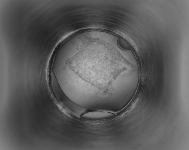 X0000087311037200705112113