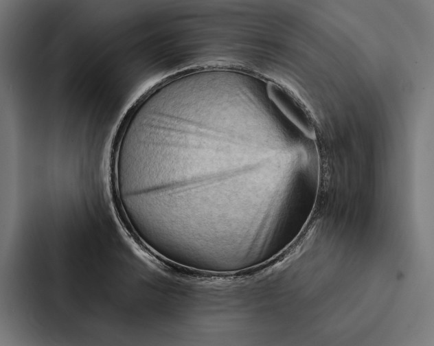 X0000087311038200705112113