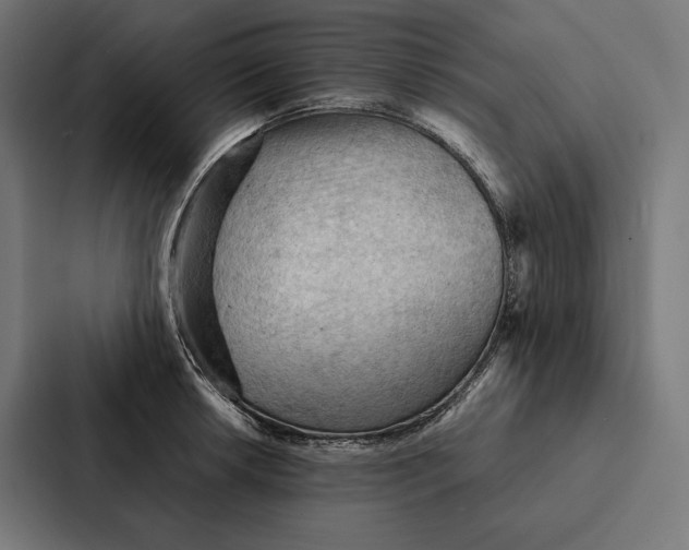 X0000087311042200705112113