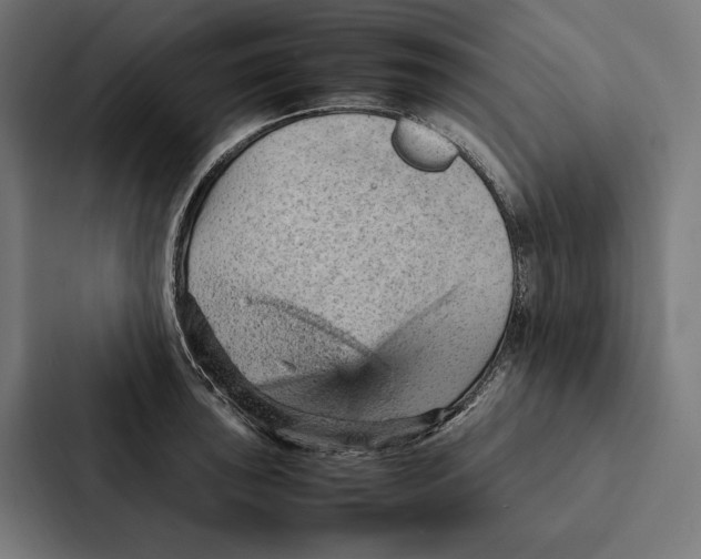 X0000087311043200705112113