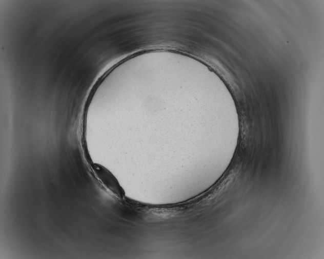 X0000087311044200705112113