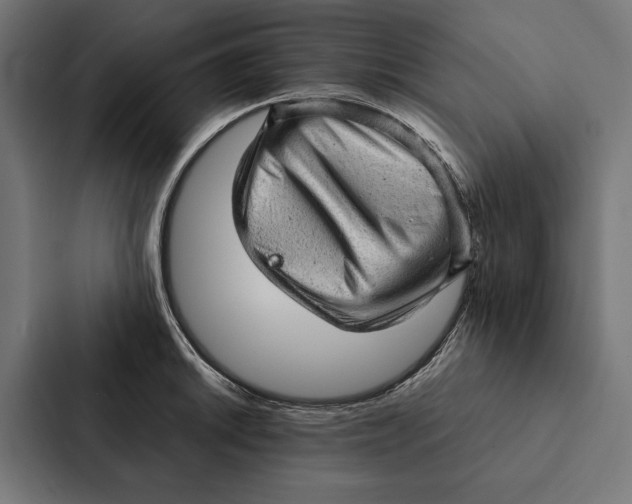 X0000087311046200705112113