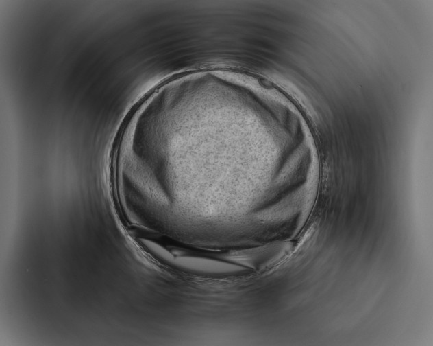 X0000087311047200705112113