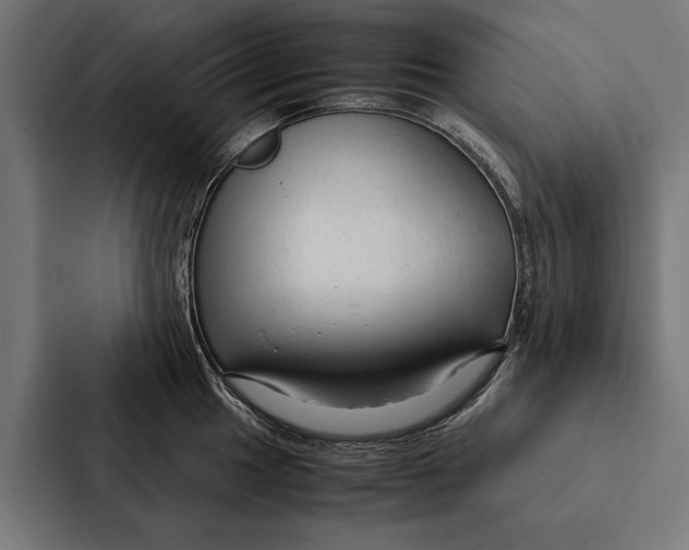 X0000087311049200705112113