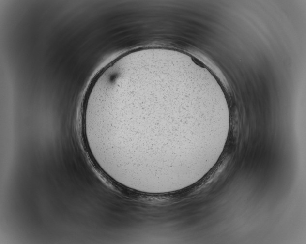 X0000087311053200705112113