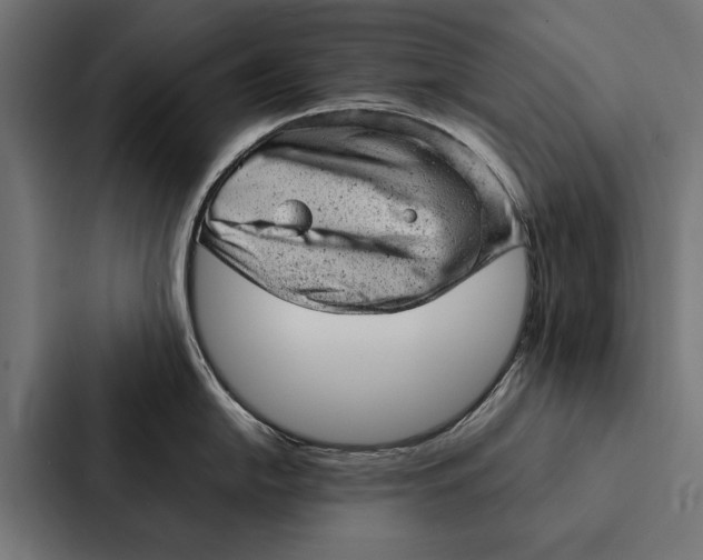 X0000087311054200705112113