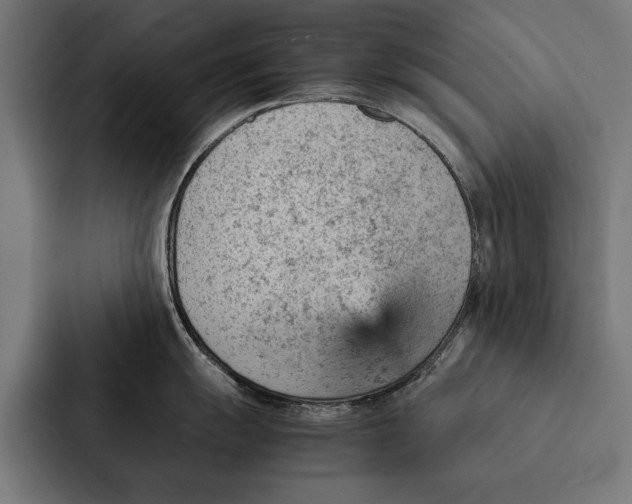 X0000087311055200705112113