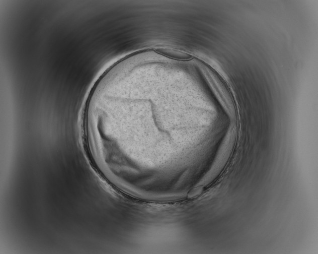 X0000087311056200705112113