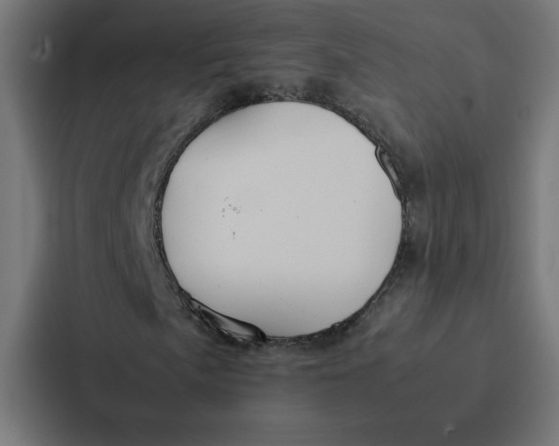 X0000087311057200705112112