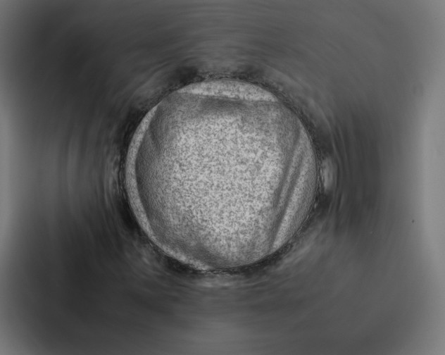 X0000087311059200705112112