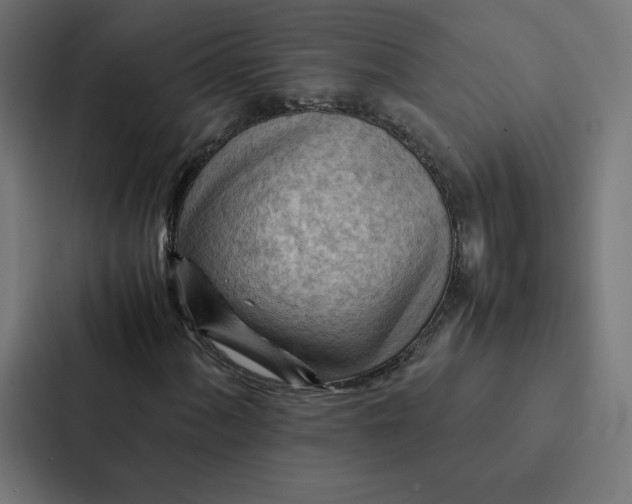 X0000087311060200705112112