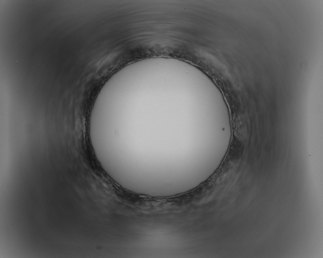 X0000087311061200705112112