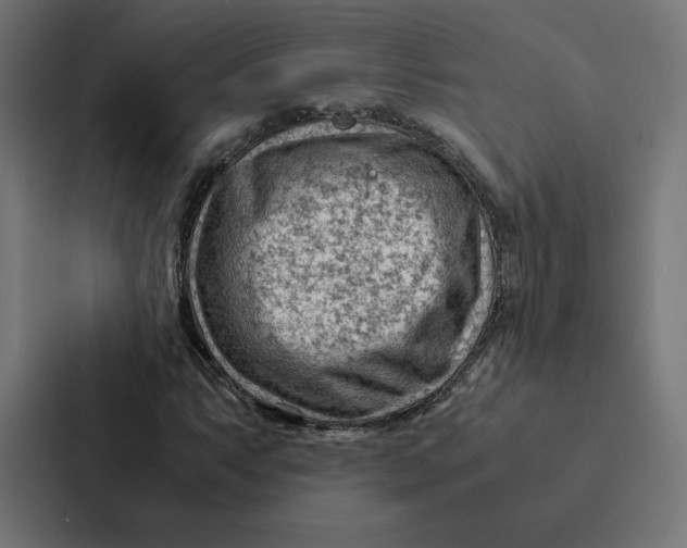 X0000087311063200705112112