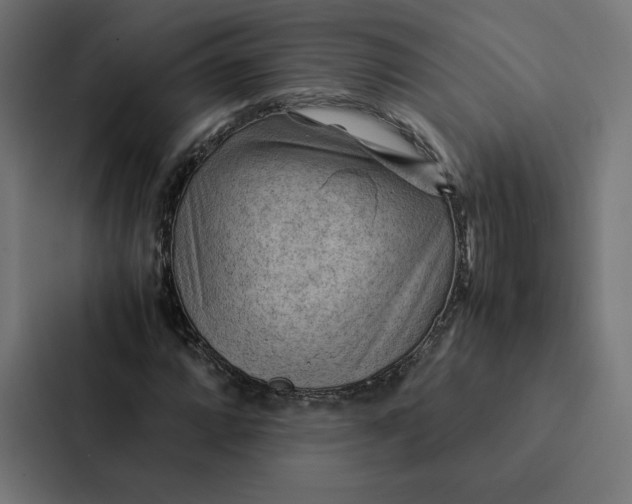 X0000087311064200705112112