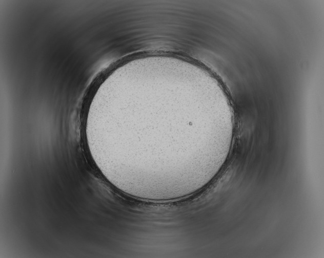 X0000087311067200705112112