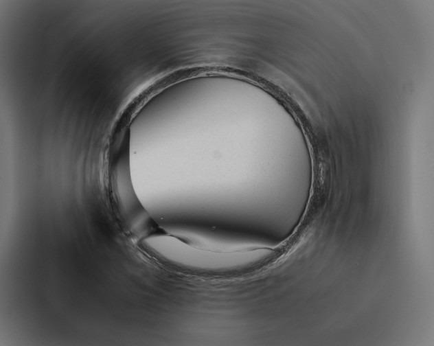 X0000087311069200705112112