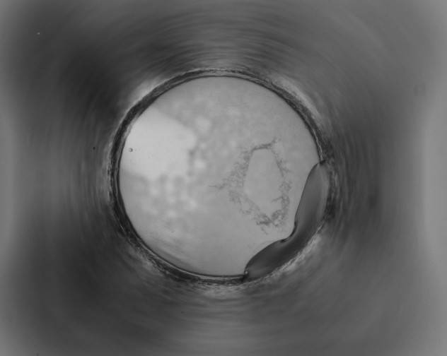 X0000087311071200705112112