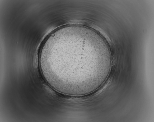 X0000087311075200705112112