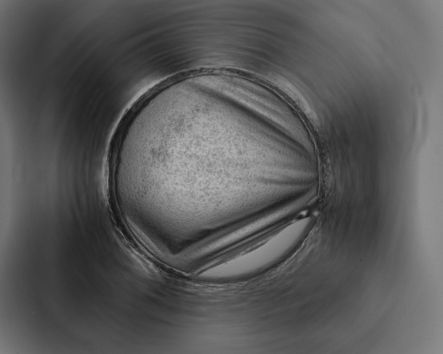 X0000087311076200705112112