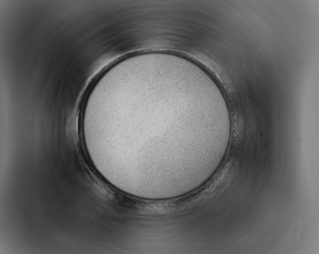 X0000087311078200705112112