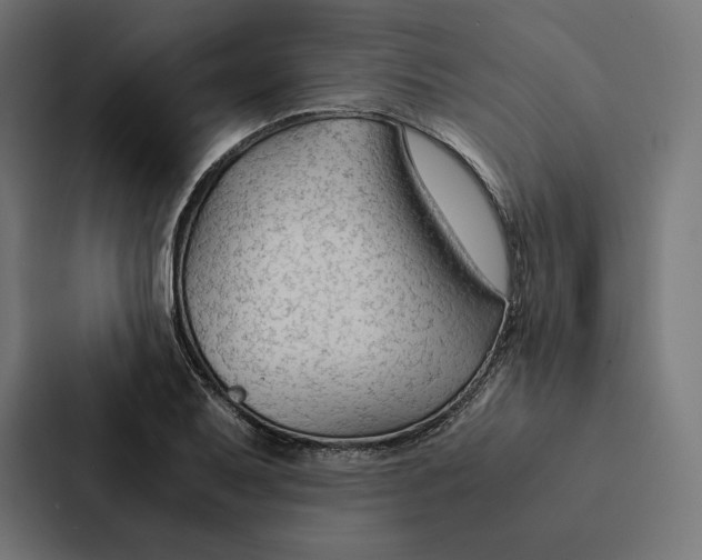 X0000087311079200705112112