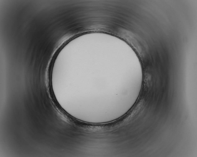 X0000087311082200705112112