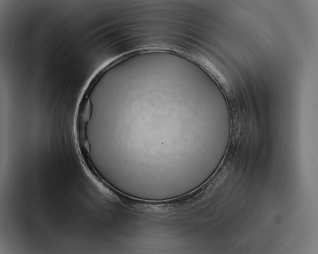 X0000087311084200705112112