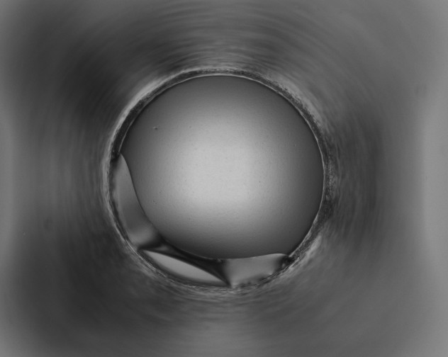 X0000087311085200705112112