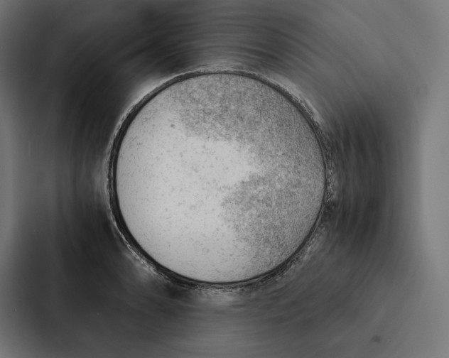 X0000087311086200705112112