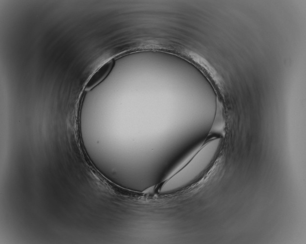 X0000087311089200705112112