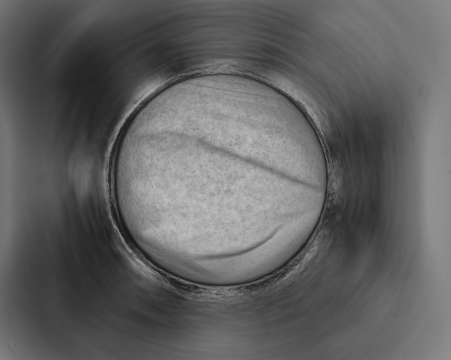 X0000087311090200705112112