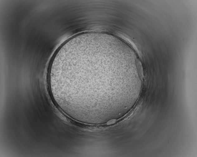 X0000087311091200705112112