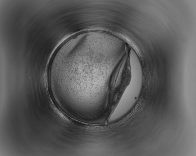 X0000087311092200705112112