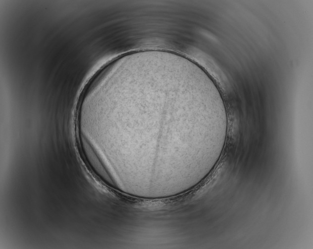 X0000087311094200705112112