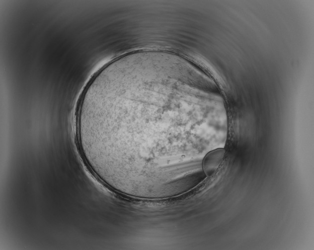 X0000087311095200705112112