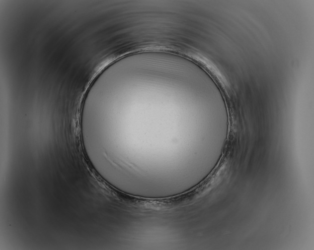 X0000087311097200705112112