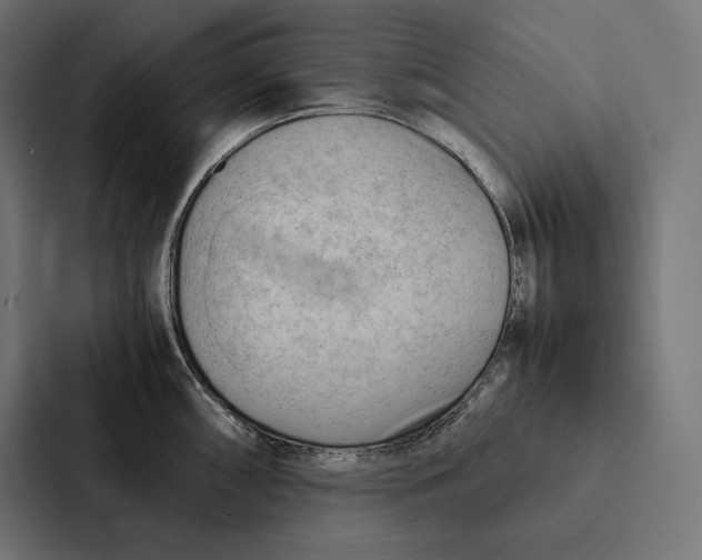 X0000087311098200705112112