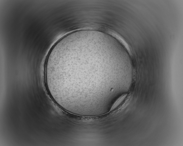 X0000087311099200705112112