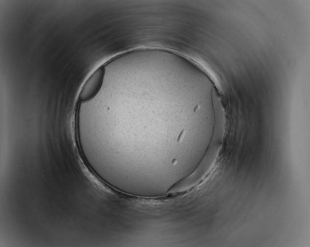 X0000087311100200705112112