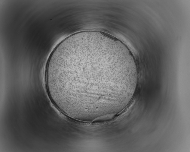 X0000087311103200705112112